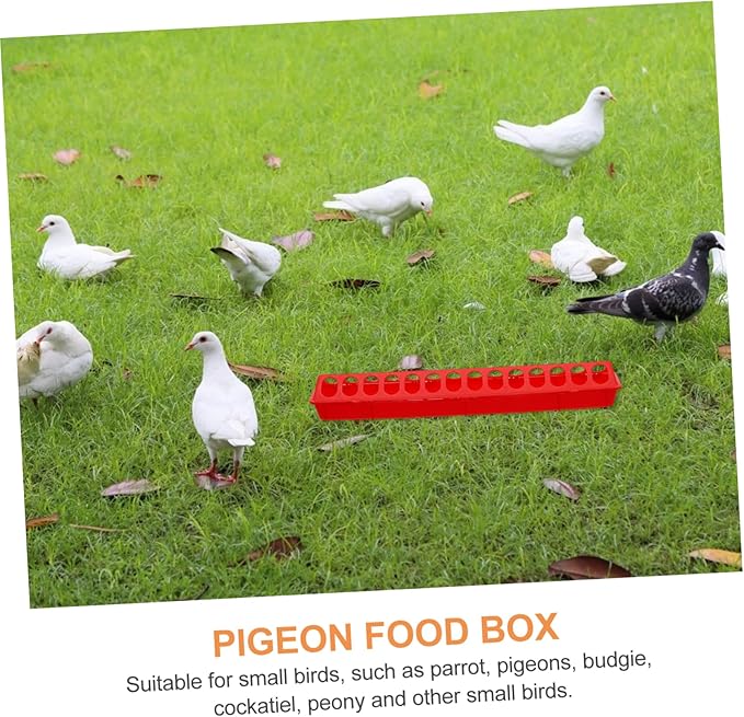 Kisangel 2pcs Outdoor Indoor Bird Supplies Sunflower Seeds Bird Food Watering Supplies