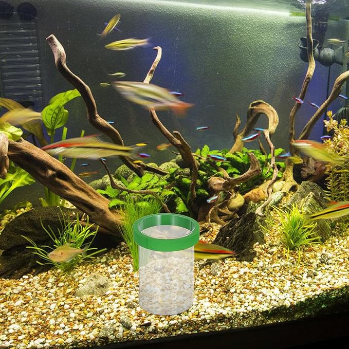 UPKOCH 2 Sets Fish Breeding Box: Plastic Aquarium Breeding Chamber - Floating Isolation Hatchery Incubator for Small Fish Betta Shrimp Clownfish Guppy