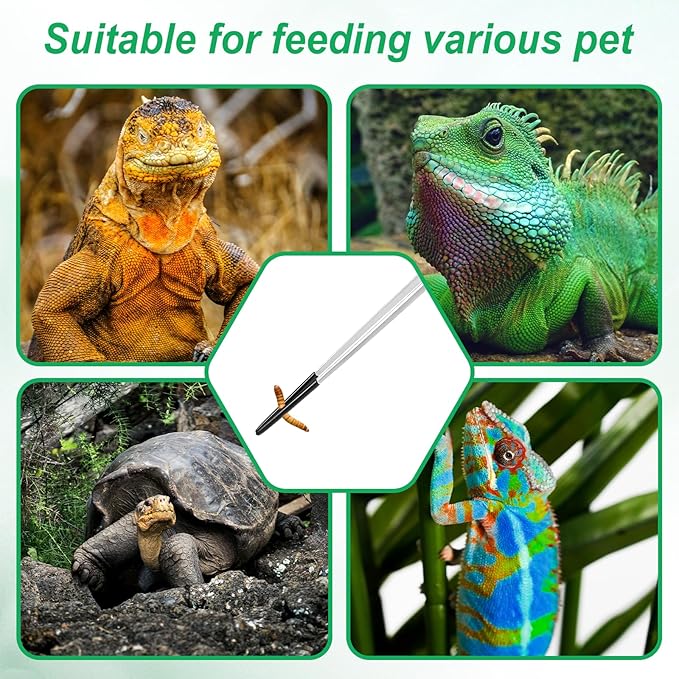 3 Pcs Reptile Feeding Tweezers, Long Aquarium Tweezers Stainless Steel Feeding Tongs with Rubber Tipped Aquariums Tools Feeder for Fish Lizard Gecko Snake Spider Bearded Dragon Lovers