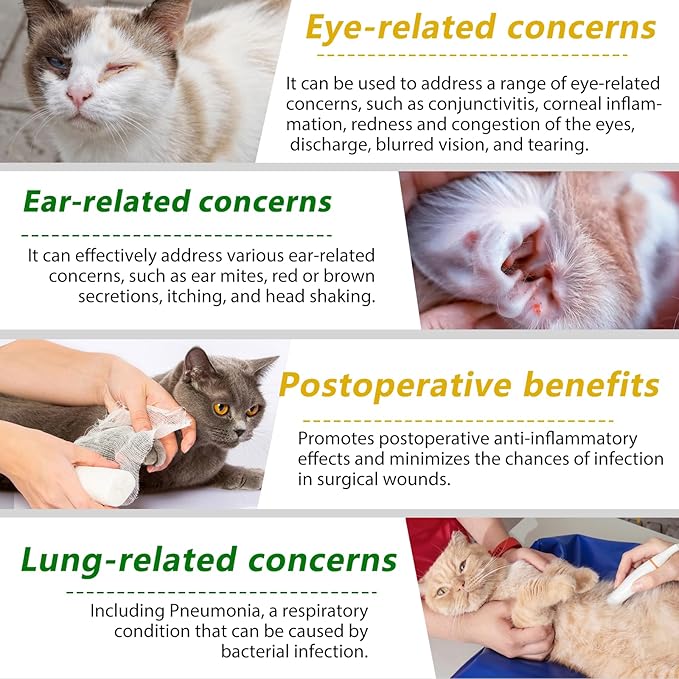 Natural Antibiotic Liquid Drops for Cats - Supports Immune System, Allergy & UTI Relief with Fast Absorption & Digestive Aid - Chicken Flavor for All Ages & Breeds, 2 fl oz (60ml)