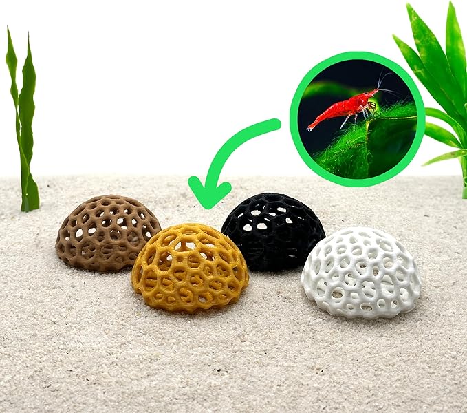 Shrimp Dome Hide - Aquarium Cherry Shrimp Hide - CTWPets Cherry Shimpe Hide (Honey Gold)