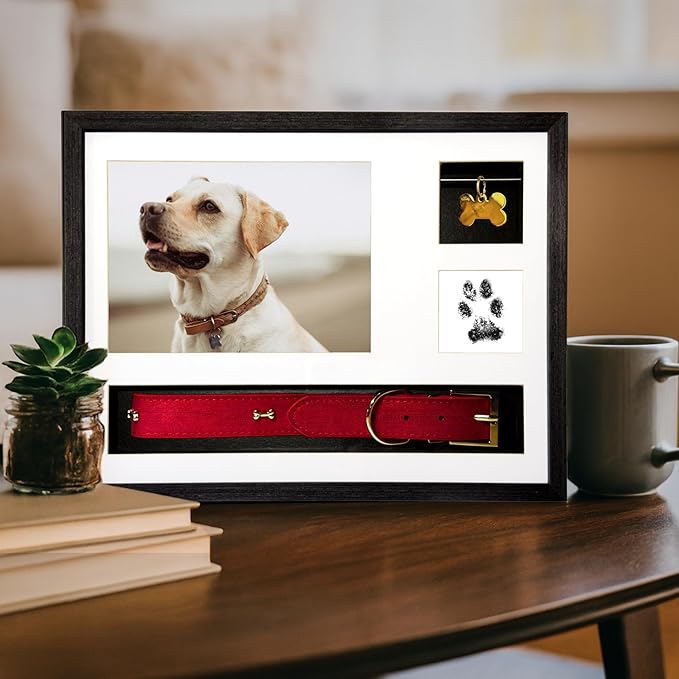 Dog Memorial Frame Shadow Box | Meaningful Pet Memorial Gifts for Dogs | Dog Bereavement Gifts with Unique Tag Slider, Fits All Collars & Hidden Compartment | Black 11x14 in