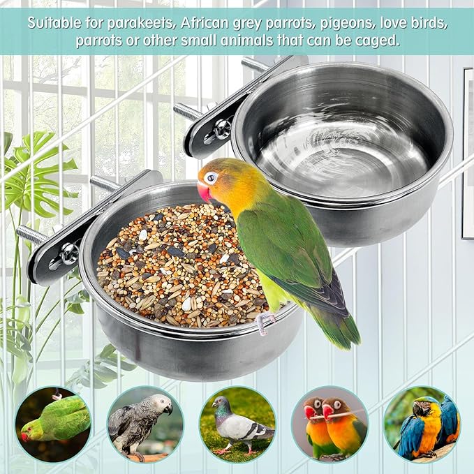 PINVNBY Stainless Steel Bird Bowl Parrot Food Water Bowls with Clamp Holder Bird Feeder Dish Cups Crate Bowls for Cockatiel Pigeons Conure Budgies African Greys (2PCS Screw Size: M)