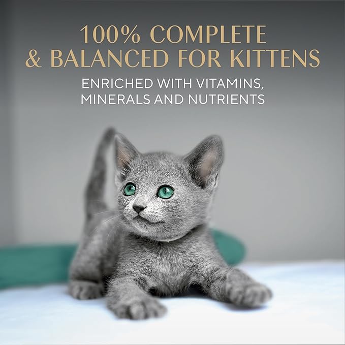 Sheba Perfect Portions Kitten Wet Cat Food Pate Chicken Entree, Salmon Entree, and Turkey Entree, 2.6 oz. Twin-Pack Trays (24 Count, 48 Servings)