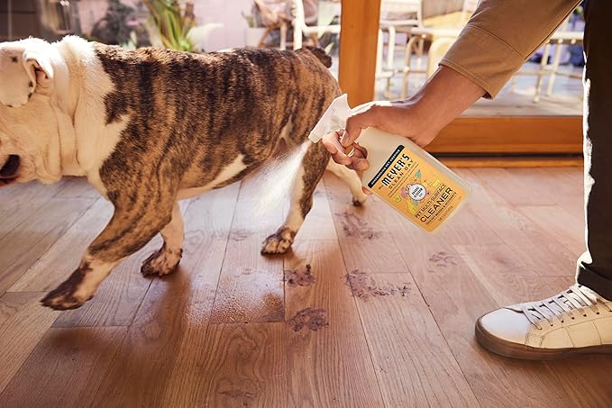 Mrs. MEYER'S CLEAN DAY Pet Multi-Surface Cleaner,Orange Blossom Scent,16oz,(Pack of 2)