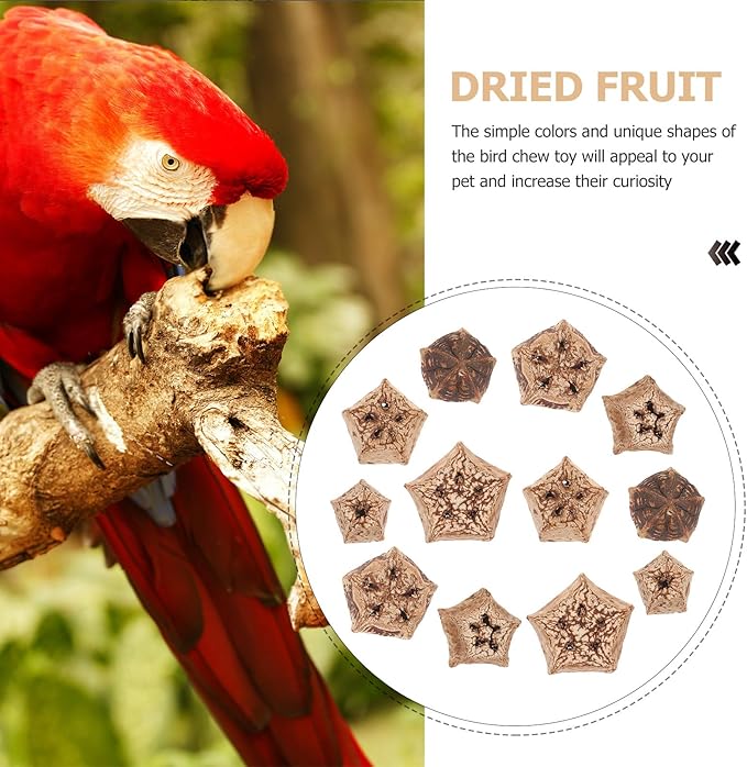 POPETPOP Parrot Foraging and Bird Shredding Natural Chewing Blocks 12Pcs Healthy Wooden Chew Treats for Parakeets and Small Birds Cage Accessories