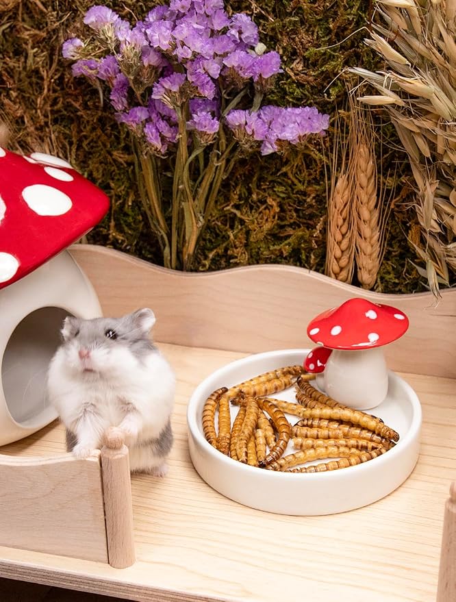 Niteangel Small Animal Snack & Treats - Small Critter Natural Treat for Dwarf Syrian Hamsters Gerbils Mice Sugar Glider Hedgehogs Chickens Birds (Dried Worms- 0.9oz (25g))