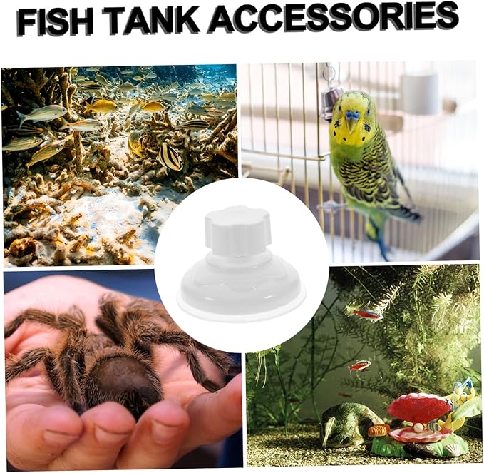 DOITOOL 6pcs Cup Perch Knob for Birds Window-Installed Bird Perch Accessories Strong Absorption for Pets for Smooth for Parrots and Reptiles