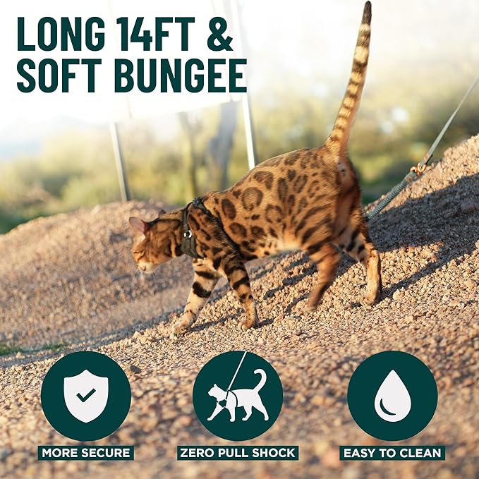 OutdoorBengal Kushma™ - Long Leash for Cats and Small Dogs with Bungee - Silicone + Nylon - No Tangle, Hands-Free for Waist and Body, Lightweight - Extra Long Cat Leash for Small Dogs (Desert)