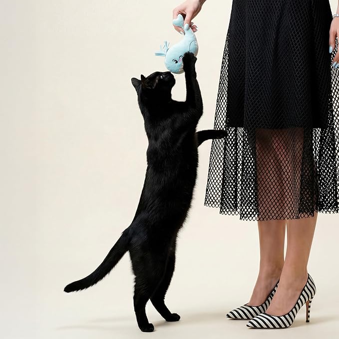 Cat Toys | Plush Whale Cat Toy for Indoor Cats | Eco Friendly Toy Made from Non Toxic Materials