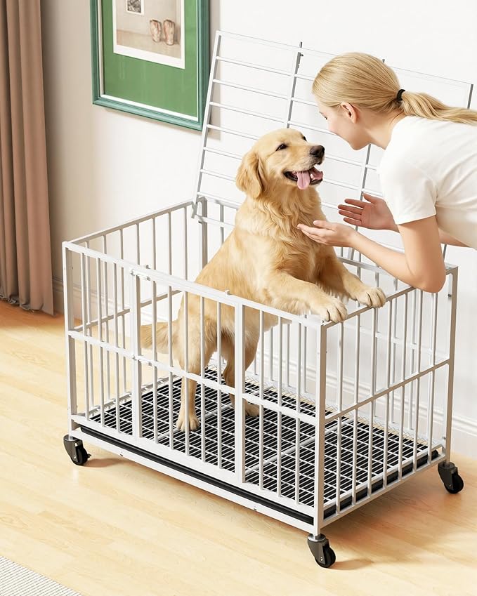 White 48 Inch Heavy Duty Dog Crate with Double Doors and Lockable Wheels, Large Dog Kennel Indoor, Removable Tray for Easy Cleaning, Dog Cage for Medium to Large Breeds and High Anxious Dogs