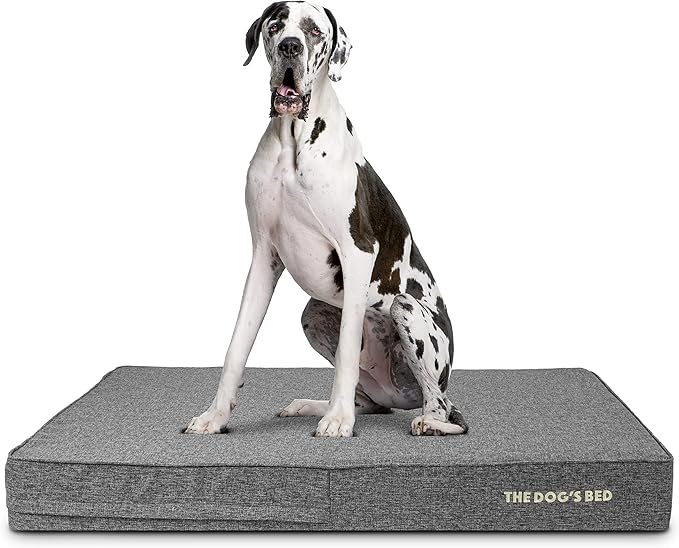 The Dog’s Bed Orthopedic Memory Foam Dog Bed Mattress, Linen Fabric, Grey Linen, XXL, 6-Inch