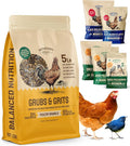 Hatortempt Chicken Feed Supplement - High-Protein Foraging Mix - Poultry Treats for Chickens - Calcium-Rich Poultry Grit for Shell Support - Dried Mealworms & Grubs for Enrichment - Bird Food (5lb)