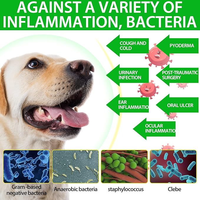 Antibiotics for Dogs, Natural Antibiotics for Dogs, Dog Multivitamin for Pets, Dog Supplies Antibiotics, Dog Allergy and Itch Relief - 60ML
