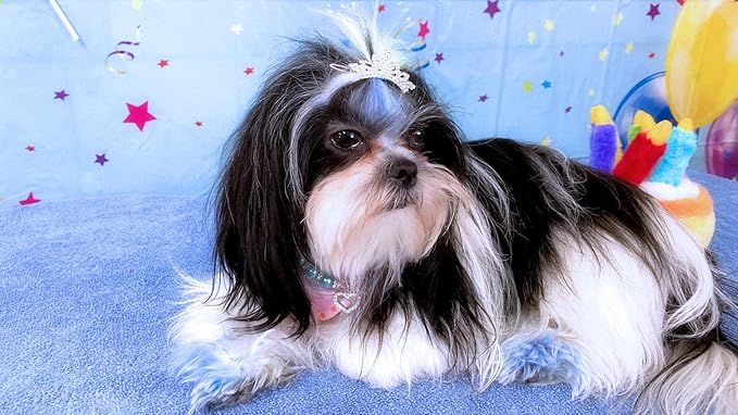 PET SHOW 1pc/Pack Dog Tiara Crown Hair Clips Bows for Small Dogs Costume Crystal Rhinestone Girls Puppies Barrette Grooming Hair Accessories
