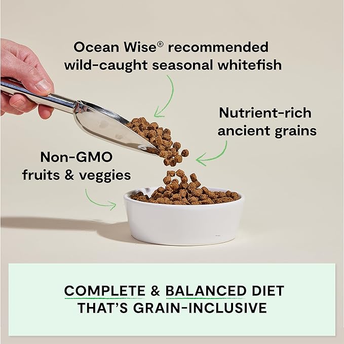 Open Farm, Ancient Grains Dry Dog Food, Protein-Rich & Nutrient Dense, 90% Animal Protein Mixed with Non-GMO Fruits, Veggies and Superfoods, Catch-of-the-Season Whitefish Recipe, 22lb Bag