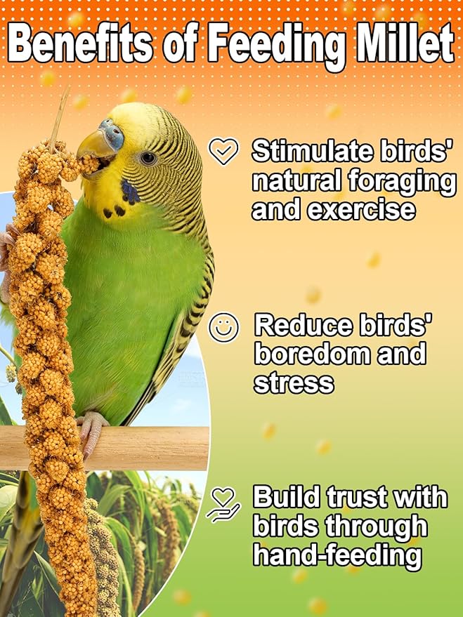 MEWTOGO Spray Millet & Cuttlebone Bird Treats Set - 2lb Hand Selected Golden Millet Treats for Parakeets Cockatiel Lovebirds Canaries Finches, Energy & Calcium Boost