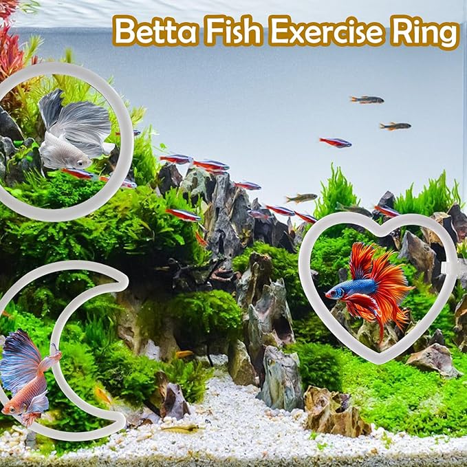 CAIJ 6Pcs Betta Exercise Ring with Suction-Cup, Betta Exercise Ring, Fish Feeding Ring, Aquarium Accessories, Betta Fish Enrichment Toys (Moon & Heart & Round)