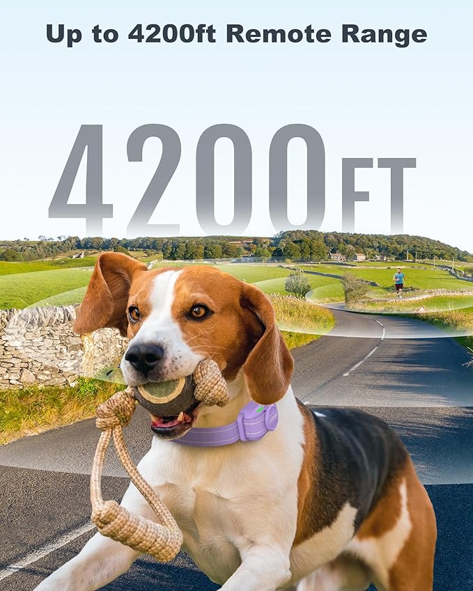 Jugbow Dog Training Collar - 4200FT Dog Shock Collar with Remote for Large Medium Small Dogs, Rechargeable Waterproof IPX8 E Collars with Beep (1-3) Vibration(1-3) Safe Static(0-99), Purple
