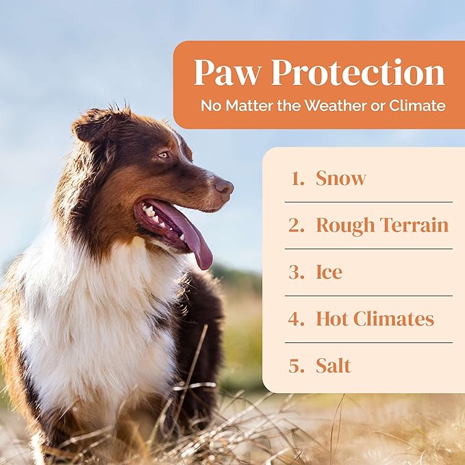 Dog Paw Balm - 2 oz of Paw Wax - Lick-Safe Soother for Dry and Cracked Paws with Coconut Oil, Jojoba Oil, and Vitamin E - Protects Against Snow, Ice, Hot Pavement - Made in The USA