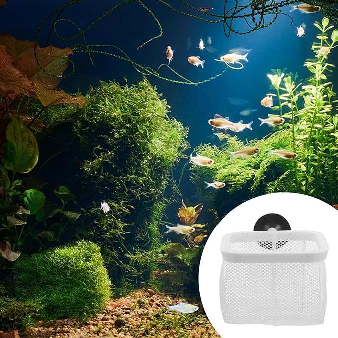 Totority Fish Tank Breeder Net with Suction Cups Durable Isolation Box for Shrimp and Betta Fish Easy Installation and Cleaning Spawning and Protection of Newborns