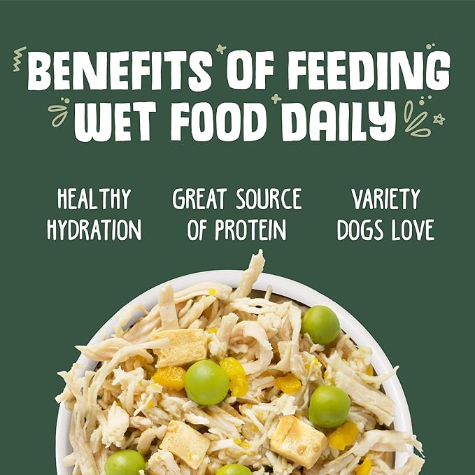 Weruva Classic Dog Food, Green Eggs & Chicken with Chicken Breast & Pumpkin in Gravy, 5.5oz Can (Pack of 24)