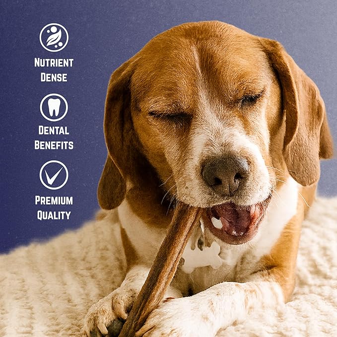 Devil Dog Pet Co. Bully Sticks – 6 Inch, 25 Pack, Standard Sized Dog Chews, 100% Natural, Single Ingredient, Free-Range Grass-Fed Beef – Long Lasting, Rawhide-Free Treats for Dogs