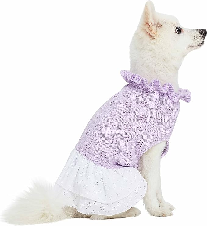 Blueberry Pet My Cutie Princess Ruffle Collar Dog Sweater Dress with Guipure Lace, Light Lavender, Back Length 10", Fall Winter Clothes for Girl Dogs