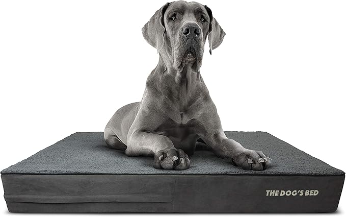 The Dog’s Bed Orthopedic Memory Foam Dog Bed Mattress, Plush Fabric, Grey Plush, XXL, 6-Inch