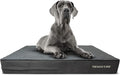 The Dog’s Bed Orthopedic Memory Foam Dog Bed Mattress, Plush Fabric, Grey Plush, XXL, 6-Inch