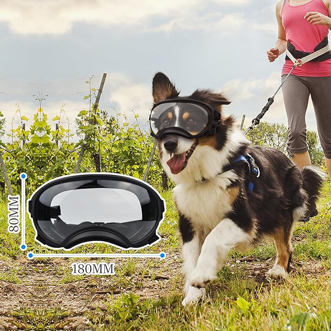 Pacify Dog Goggles for Large Dogs, UV Protection Dog Sunglasses with Adjustable Strap for Medium Large Dog Pet Glasses (Clear)