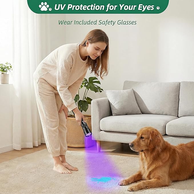 ESCO LITE 2 Packs Black Light Flashlight, 12LED 395nm UV Handheld Black Light Mini Flashlight, Dogs Urine Detector for Dry Urine Stains, Bed Bugs, Scorpions