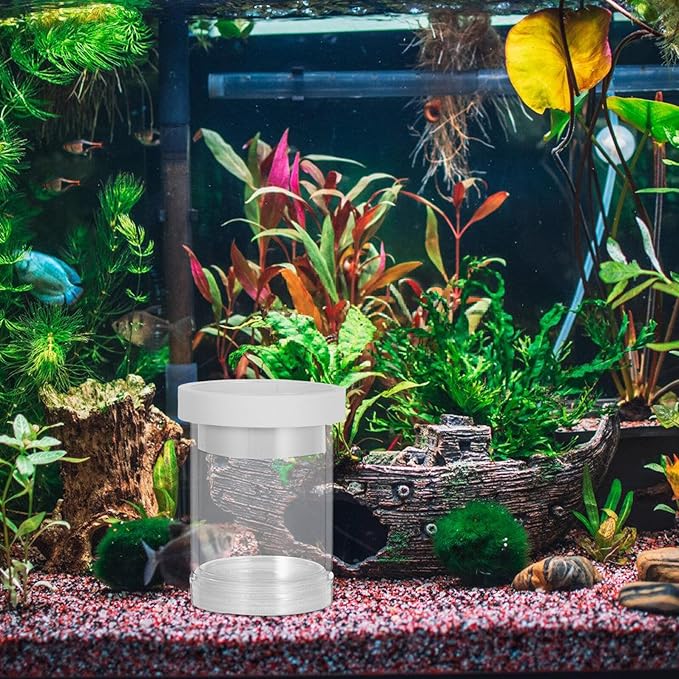 POPETPOP Fish Breeding Isolation Box Floating Fish Incubator Hatchery Mesh Divider for Guppy and Small Juvenile Aquarium Use White Small