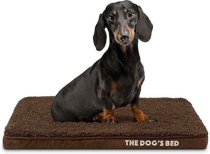The Dog’s Bed Orthopedic Memory Foam Dog Bed Mattress, Plush Fabric, Brown Plush, Small, 2-Inch