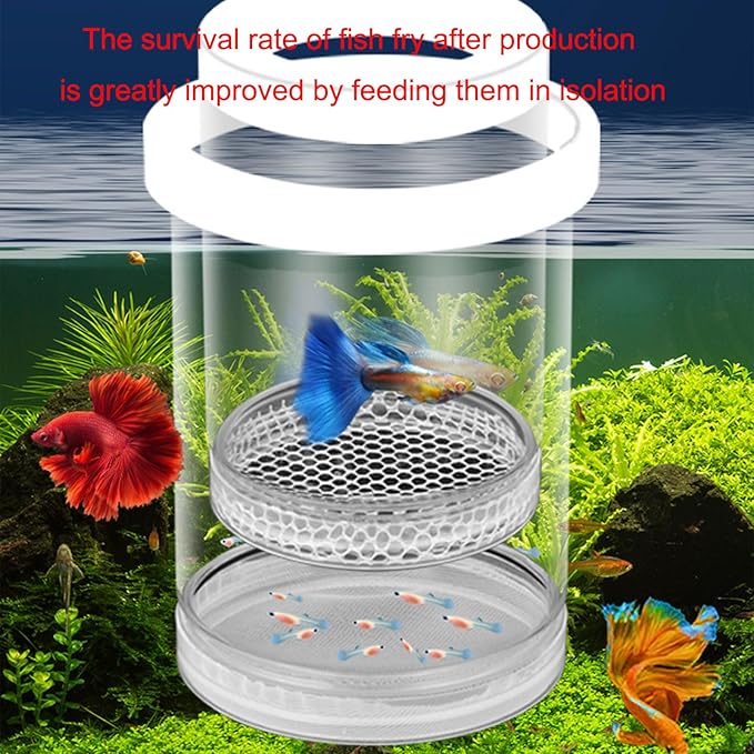 Aquariums Breeding Box Hatchery Shelter House for Guppy Bettafish Clownfishs with Divider Design Floating House 3PCS Bettafish Nursery Tanks