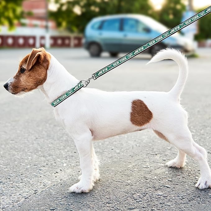 New York Jets Leash