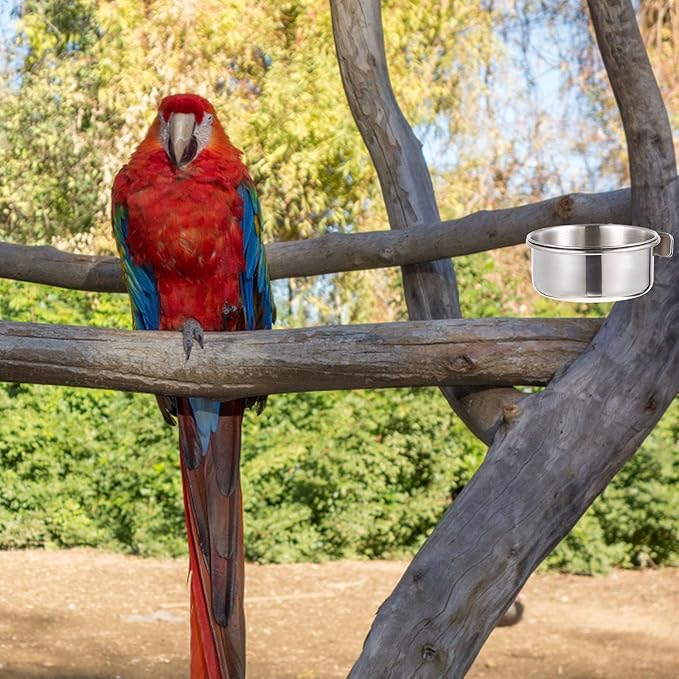 Yardwe Stainless Steel Bird Food Cup 2-Pack Small Cage Feeders with Clamp for Parrots Budgies Cockatiels Durable Bird Food Bowls for Easy Feeding