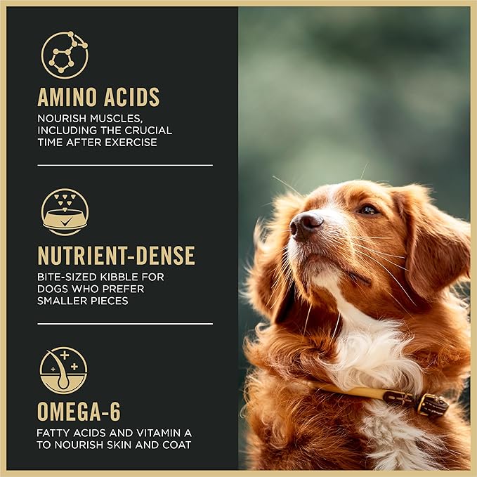 Purina Pro Plan High Protein Dog Food, Small Bites, SPORT 27/17 Lamb and Rice Formula - 6 lb. Bag