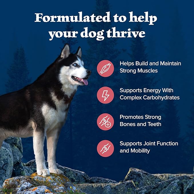 Blue Buffalo Wilderness Natural High-Protein Dry Food for Adult Dogs, with Wholesome Grains, Salmon, 24-lb. Bag