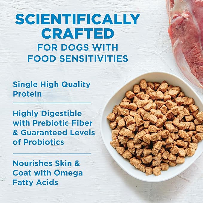 Wellness Simple Limited Ingredient Adult Dry Dog Food, Grain Free Kibble, Sensitive Stomach, Skin & Coat Support, Natural, Chicken Free, Turkey and Potato Recipe, 40 lb Bag