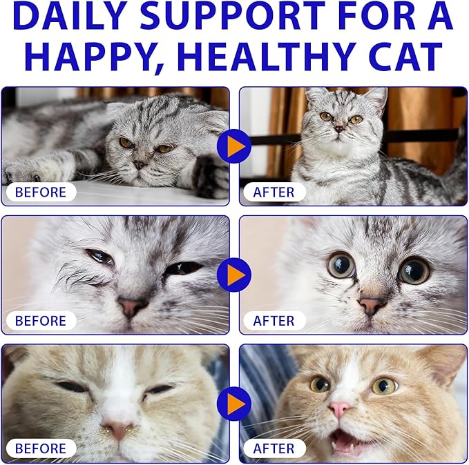 Lysine for Cats, L-Lysine Supplement Liquid Drops for Cats Supports Immune & Respiratory Health,Helps with Sneezing, Eye Discharge and Watery Eyes