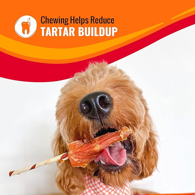 Good ‘n’ Fun Triple Flavor Ribs Chews for All Dogs, 4 Ounces, Treat Your Dog to Long-Lasting Chews Made with Beef Hide, Chicken and Pork Hide