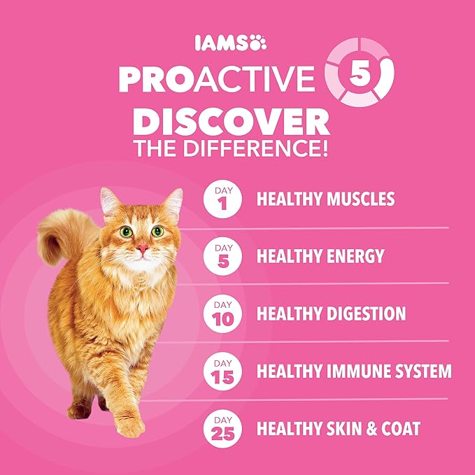 IAMS Proactive Health Sensitive Digestion & Skin Dry Cat Food, Adult Cat Food Dry Recipe with Real Turkey, 6 lb. Bag
