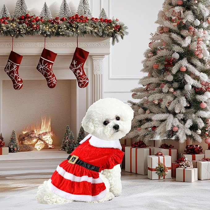 Dog Christmas Dress Santa Hat Dog Christmas Outfit Holiday Santa Costume Outfit Clothes for Small Medium Dogs (X-Large)