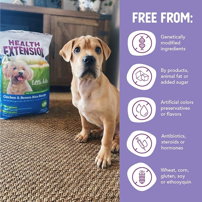 Health Extension Little Bites Dry Dog Food for Toy and Small Breeds, Chicken & Brown Rice Recipe, with Probiotics & Superfoods for Digestion & Coat Health, 1 lb Bag (Pack of 2)
