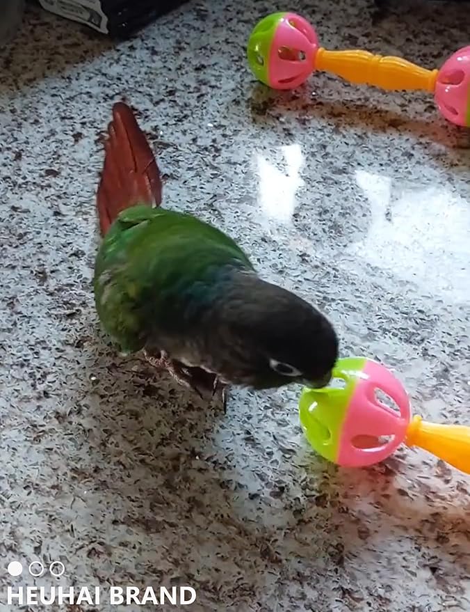 22-Pack Bird Toys for Parakeets & Small Birds – Colorful Cage Fun with Bells & Rattan Balls (1.6'' - 5.5'')