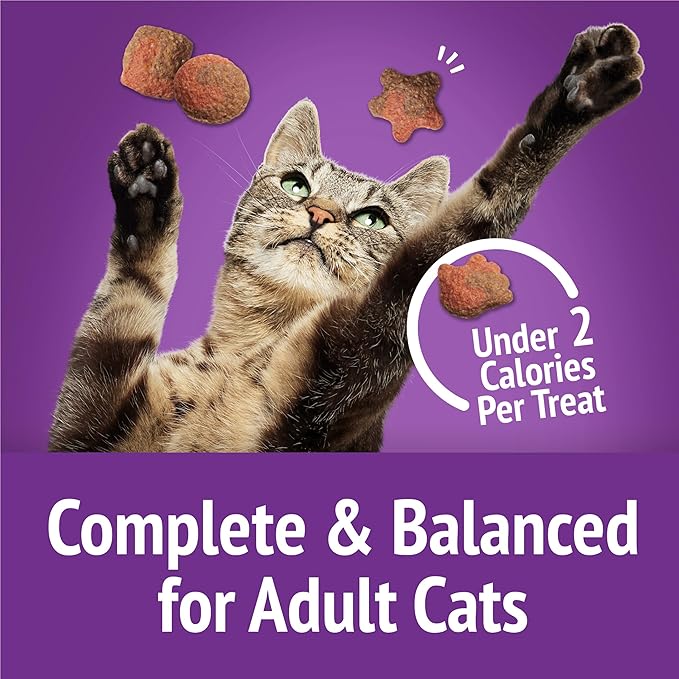 Purina Friskies Cat Treats, Party Mix Gravy-licious Crunch Turkey and Gravy Flavors - (Pack of 6) 6 oz. Pouches