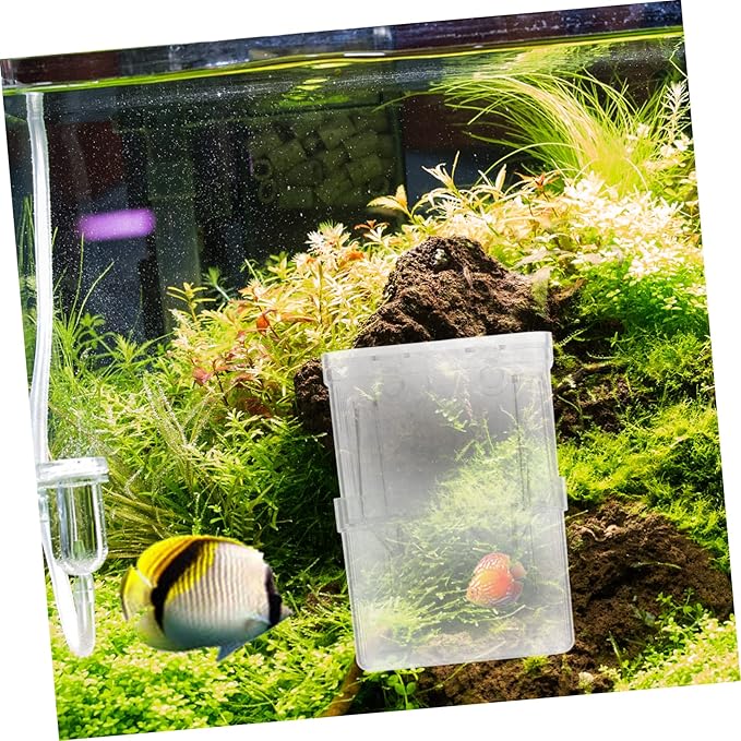 FRCOLOR 4pcs Aquarium Isolation Boxes Small Fish Breeding Hatching to Install Feeding Mouth Compact Design for Juvenile Fish and Shrimp Care