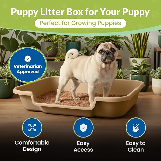 Dog Litter Box, Beach Sand Color, Large Size, Durable & Pet Safe Puppy Litter Box, Indoor Open Top Entry Dog Litter Pan, Comfortable for Dogs, Great for Dogs up to 20 lbs (2 Pack)