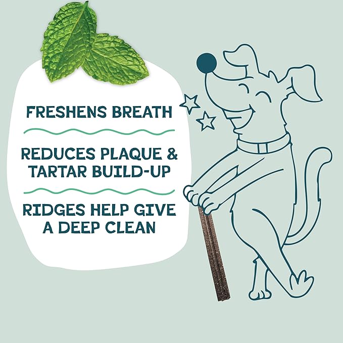 Shameless Pets Dental Chews for Dogs, Mighty Mint Minis, Healthy Treats for Teeth Cleaning & Fresh Breath - Free from Grain, Corn, & Soy for Small Dogs
